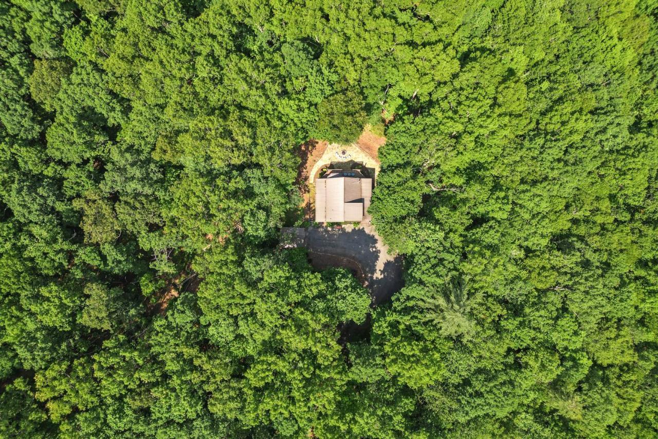 Bear Naked Bungalow Блу-Ридж Экстерьер фото